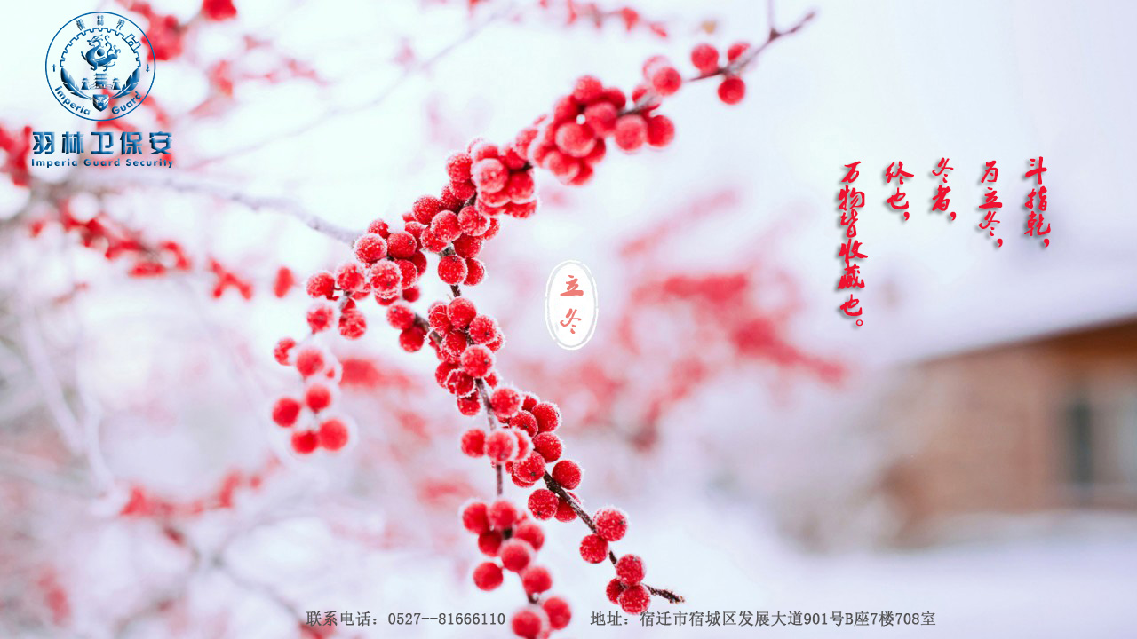 [廿四节气]立冬