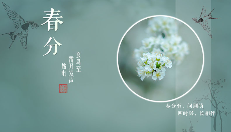 [廿四节气]春分