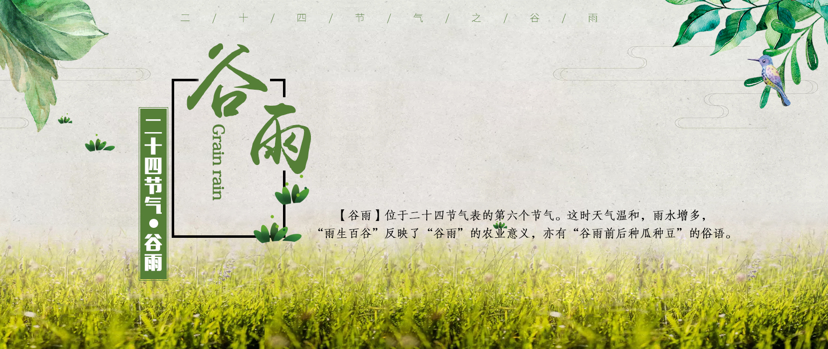 [廿四节气]谷雨
