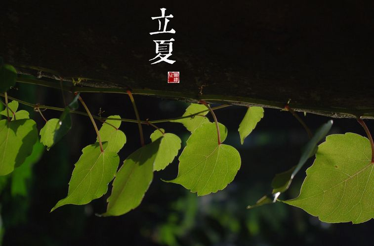 [廿四节气]立夏