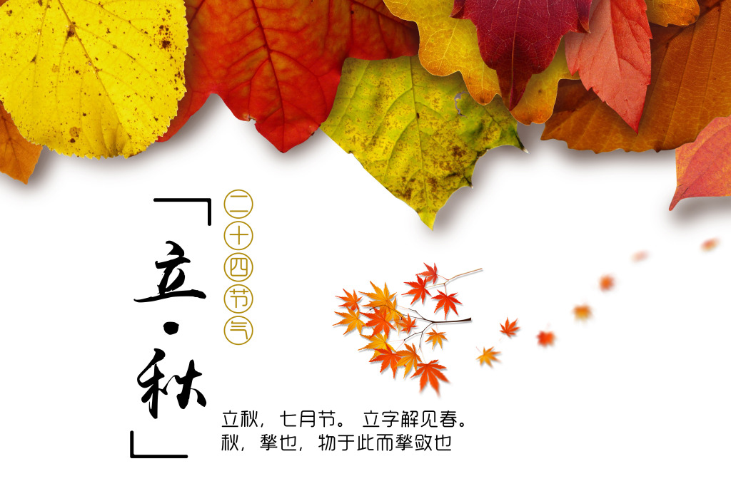 [廿四节气]立秋